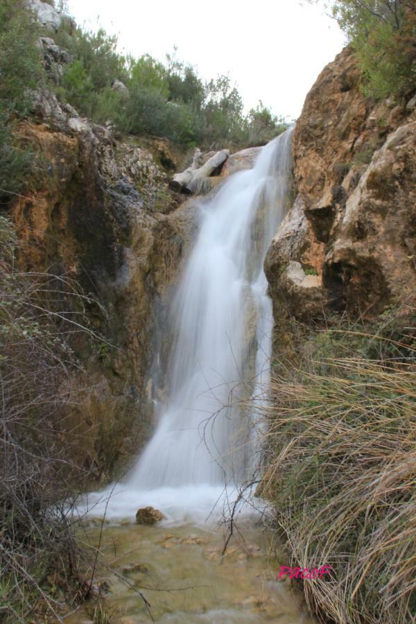 Alojamiento Aguasblanquillas Coto Rios Exteriér fotografie