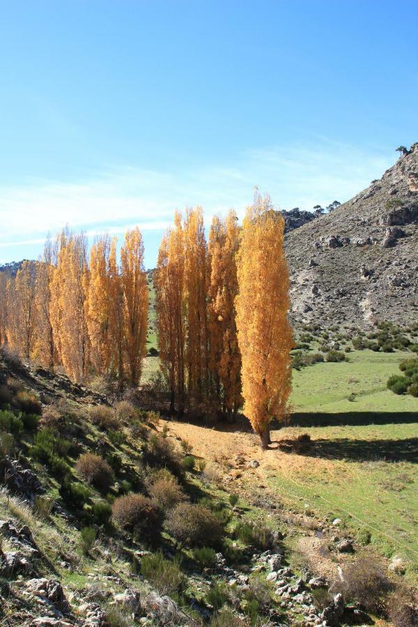 Alojamiento Aguasblanquillas Coto Rios Exteriér fotografie