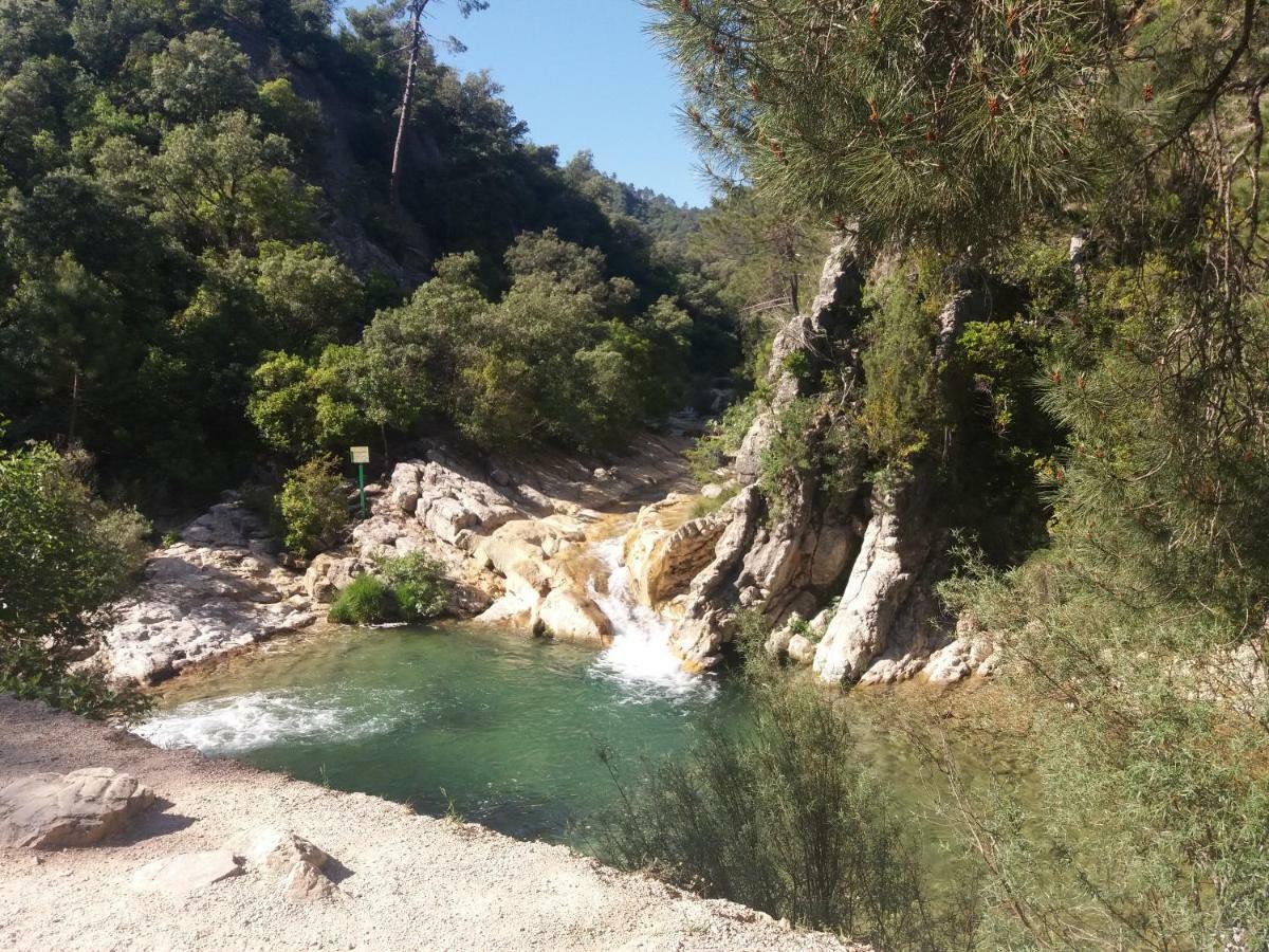 Alojamiento Aguasblanquillas Coto Rios Exteriér fotografie