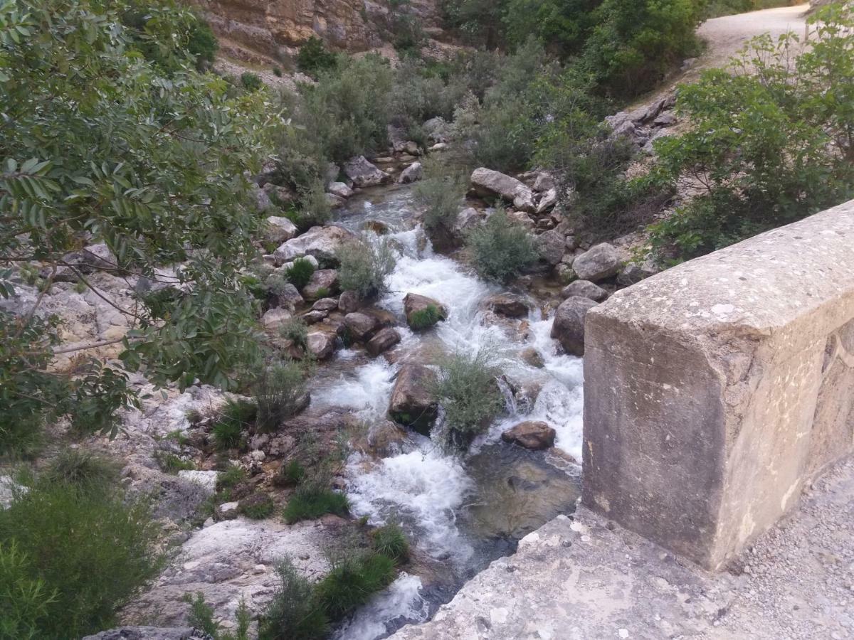 Alojamiento Aguasblanquillas Coto Rios Exteriér fotografie