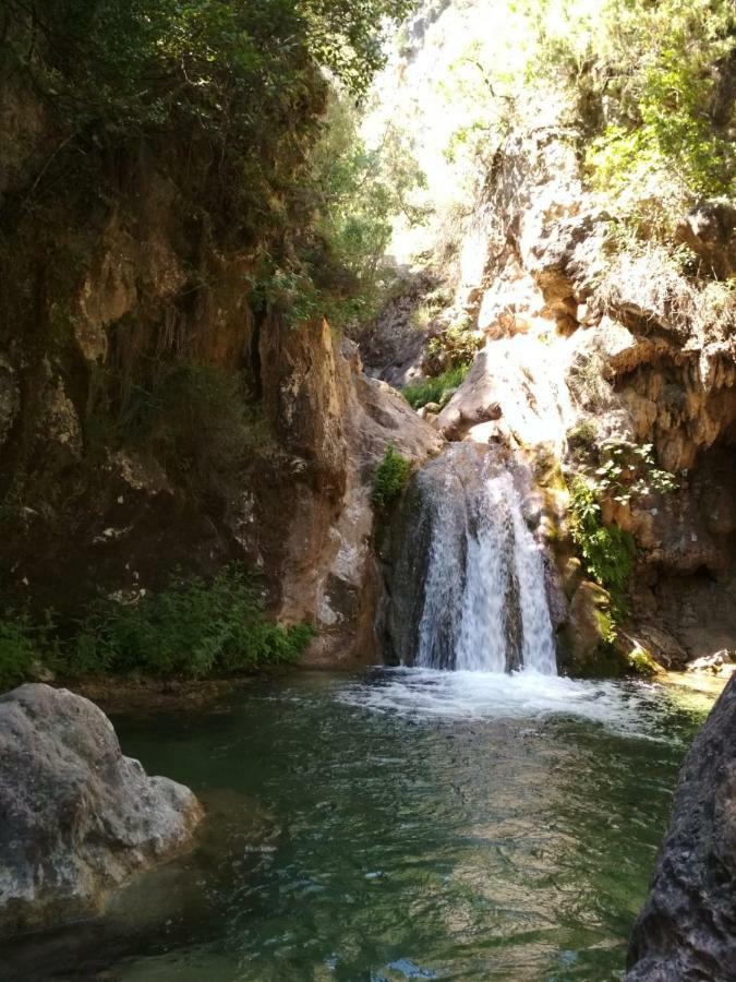 Alojamiento Aguasblanquillas Coto Rios Exteriér fotografie